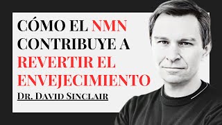 Qué es NMN y sus Beneficios para Revertir el Envejecimiento  Dr David Sinclair [upl. by Kcirej31]