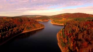 Nationalpark HunsrückHochwald  Saarland Tourismus [upl. by Perle907]