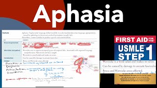 Aphasia Brocas Wernickes Condection amp global aphasia in HindiUrdu by first aid forUSMLE step1 [upl. by Eeral555]