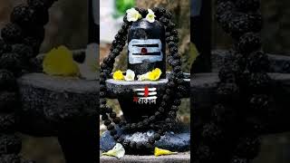 Har har Mahadev 🔱🌹🌹🌹🌹🙏🙏🙏🙏🙏🌹 [upl. by Osbourne265]