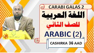 Carabi  Arabic Galas 2 Cashirka 36 aad Caamir Axmed Mayow [upl. by Lihka410]