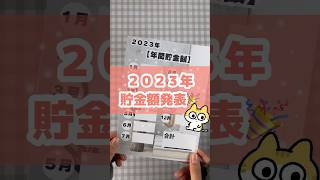 【2023年貯金額発表】１月から１２月の貯金額を発表します☘️ 介護士 20代会社員 給料仕分け 貯金 給料日ルーティン 給料日ルーティーン [upl. by Lonyer601]