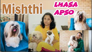 Lhasa Apso Female dog  Mishti  Pet Parent  Priya Malhotra [upl. by Brecher]