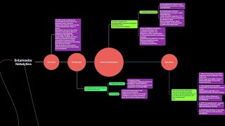 parasitology 3 Entamoeba histolytica طفيليات [upl. by Chang329]