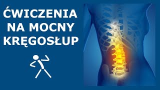 Ćwiczenia na stabilny i mocny kręgosłup  Stabilizacja głęboka kręgosłupa  Ćwiczenia CORE [upl. by Ahtekahs]