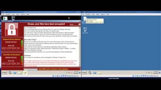 Demonstration of WannaCry Ransomware Infection nontech [upl. by Ehud]