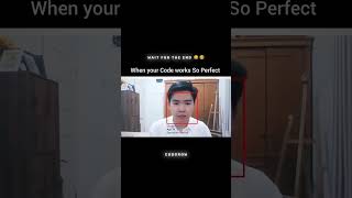 When Your Code Works So Perfect  shorts shortsfeed youtubeshorts [upl. by Hseyaj]
