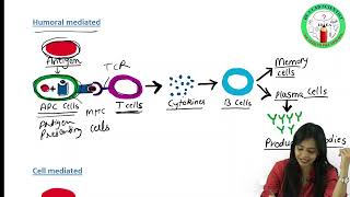 Antigen PART I  Types of Antigens  Immunogenicity  Antigenicity  Complete amp Incomplete Antigens [upl. by Alphonso91]