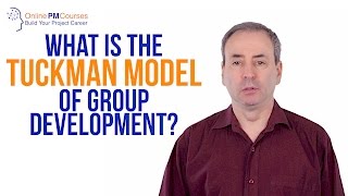 What is the Tuckman Model of Group Development PM in Under 5 [upl. by Nnoryt]