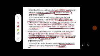 Q Describe dorsal column tract in brief [upl. by Nanny]