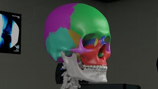 Chapter 1 Basic Sinus Anatomy [upl. by Aleyam200]