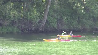 Understanding Paddling and the Willamette River [upl. by Orlina]