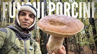 Funghi porcini dopo le piogge  L’ESCHIMESE DEI BOSCHI di faggio ricerca instancabile  Porcini 2023 [upl. by Mapel]