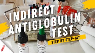 Indirect Coombs Test Procedure  Indirect Antiglobulin Test IATStep by Step [upl. by Ladew]