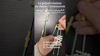 Comprendre les Polymères avec les LEGO Réaction de terminaison [upl. by Kier211]