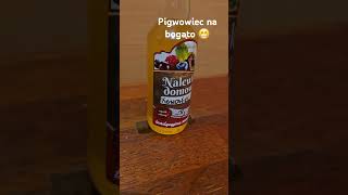 NALEWKA Z PIGWOWCA NA BOGATO 😋food drink trend foodie cooking [upl. by Neersan]