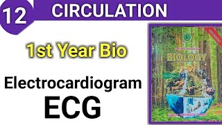 Electrocardiogram ECG  Circulation class 11 bio [upl. by Ocire]