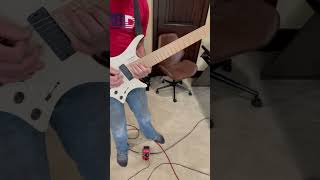 CAFO Animals as Leaders cover [upl. by Aritak286]