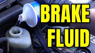 Brake Fluids Explained Types Compatibility amp Lifespan [upl. by Haisoj]