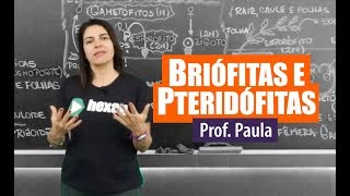 Biologia  Briófitas e Pteridófitas [upl. by Dierdre]