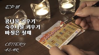 콩나물이랑 숙주나물이랑 바질 집에서 키워보는데 왜 죽지  스피또 복권 당첨 ASMR EP101  20241118 [upl. by Eiramlehcar]