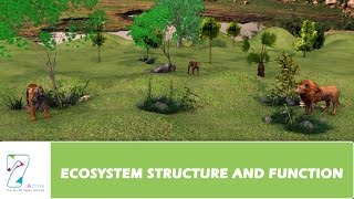 ECOSYSTEM STRUCTURE AND FUNCTION  PART 01 [upl. by Vitkun633]