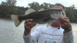 Trophy Bass Haven Resort on Castin Cajun [upl. by Macdougall]