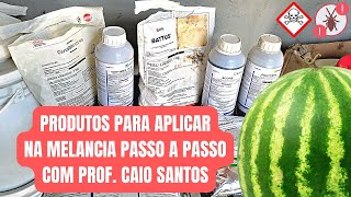 Produtos para aplicar na melancia passo a passo [upl. by Airlia]