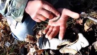 Archaic Copper Crescent amp Metal Detecting Tips [upl. by Aldin]