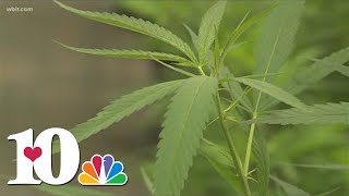 Kentucky lawmakers filing bills to legalize marijuana for medical recreational use [upl. by Hannus]