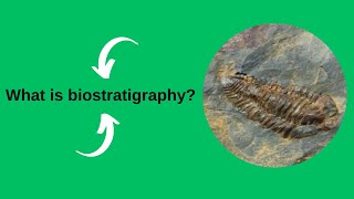 What is biostratigraphy [upl. by Leandra840]