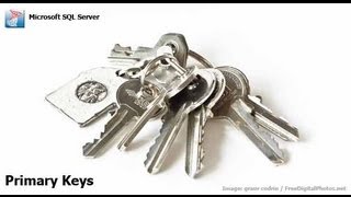 SQL  Primary And Foreign Keys [upl. by Anemix]