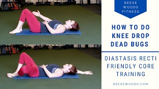 Knee Drop Dead Bugs  Diastasis Recti Friendly Core Exercise [upl. by Katine]