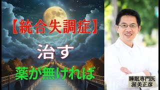 統合失調症04 治す 薬が無ければ 統合失調症 睡眠専門医 渥美正彦 薬 上島医院 講演 [upl. by Whittaker318]