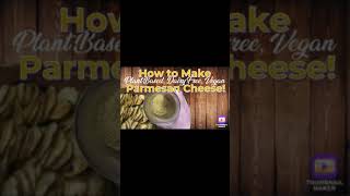 How to Make Parmesan Cheese Dairy Free PlantBased Vegan Oil Free Recipe 4 ingredients short shorts [upl. by Ahsatniuq267]