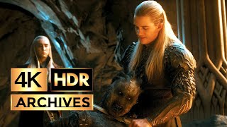 The Hobbit  The Desolation of Smaug  Orc Captured by Elves Scene  HDR  4K  51 [upl. by Marius]