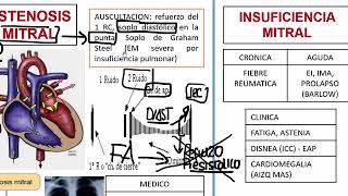 4 RM19 1V D A 2 QX TORAX Y CV ESTENOSIS Y INSUFICIENCIA MITRAL [upl. by Phenica]