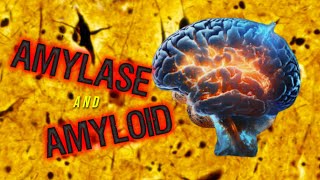 Amylase and Amyloid [upl. by Narayan]