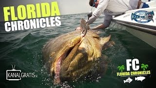 Florida Chronicles  Giant Goliath Grouper  ft Chew On This amp Kanalgratisse also BlacktipH [upl. by Shuping]