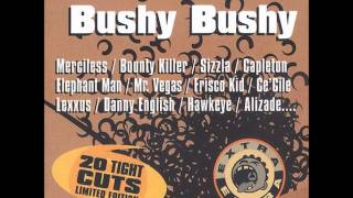 Merciless feat Bounty Killer  No One Cares Remix Bushy Bushy Riddim 2001 [upl. by Anada]