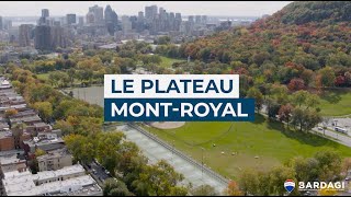 Lété à Montréal Le Plateau MontRoyal [upl. by Tillfourd]