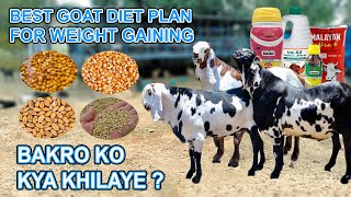 WIEGHT GAINING DIET PLAN FOR GOATS  ALL BREEDS KOTAMALWATOTAPARI ETC [upl. by Yadseut]