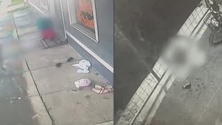 Man caught on camera defecating on womans driveway in Galveston [upl. by Petite]