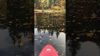 Autumn paddle in Scotland scotland nature paddleboarding sup explore fyp subscribe [upl. by Cranford317]