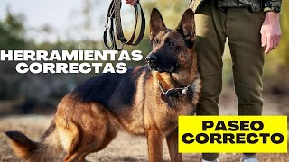 Herramientas correctas PASEO CORRECTO collar o pechera pasear al perro fácil y sencillo [upl. by Oria]