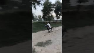 Horse speed  neza Bazi  home ground practice  chal Baz horse  horse training [upl. by Etsirk644]