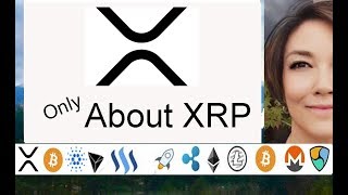 CoinTelegraph Video Ripple XRP Money 2020 Las Vegas Cory Johnson David Schwarts Asheesh [upl. by Gernhard]