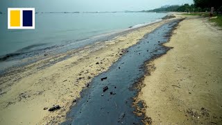 Singapore races to clean up oil spill on Sentosa island [upl. by Anitram296]