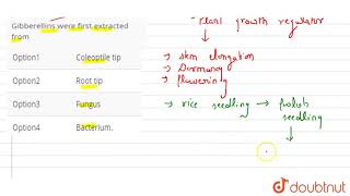 Gibberellins were first extracted from [upl. by Eeznyl]