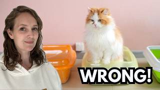 Litter trays What you want vs What your cat wants [upl. by Applegate]